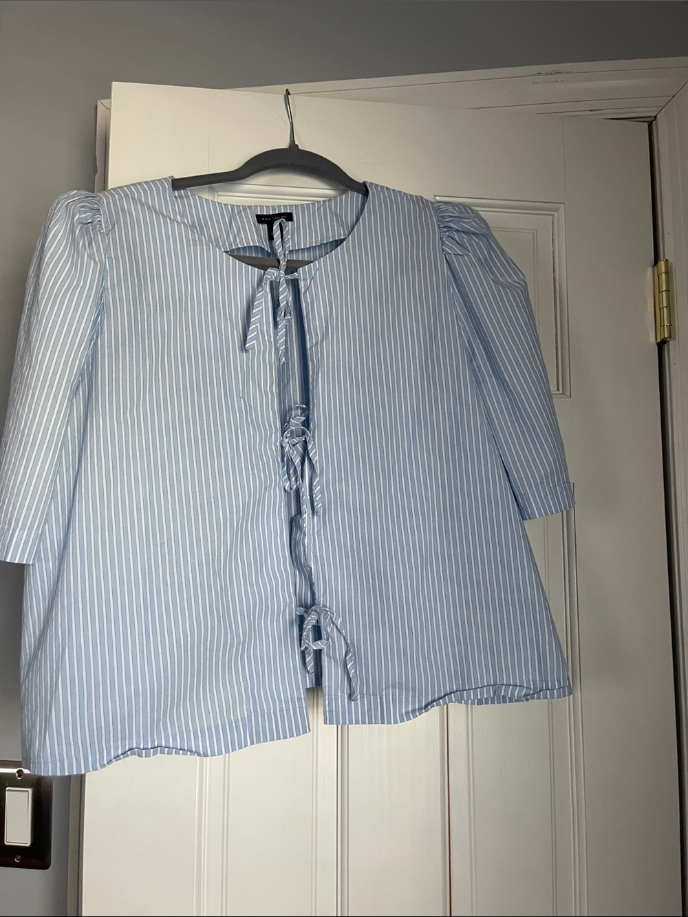 Ann Taylor Blue and White Striped Button-Front Blouse